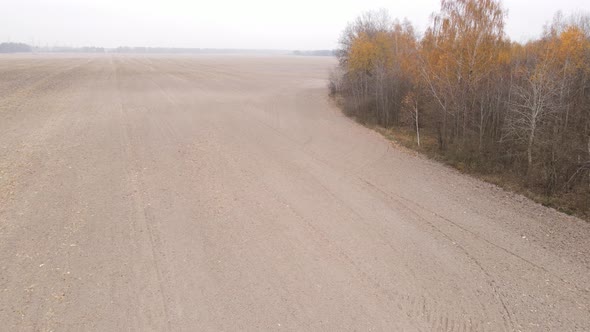 Land in a Plowed Field in Autumn