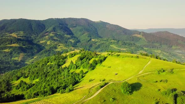 Aerial View of the Endless Lush Pastures of the Carpathian Expanses and Agricultural Land