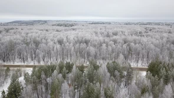 Car On Country Road In The Winter Forest