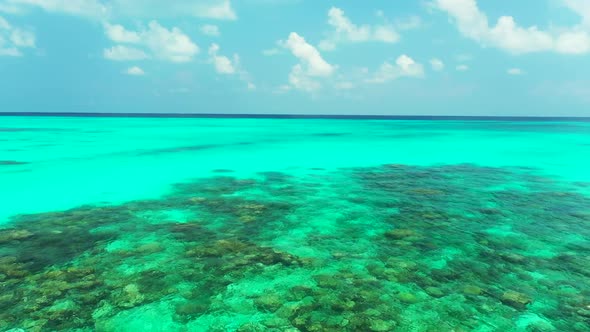 Aerial travel of idyllic tourist beach wildlife by aqua blue ocean with white sandy background of a 