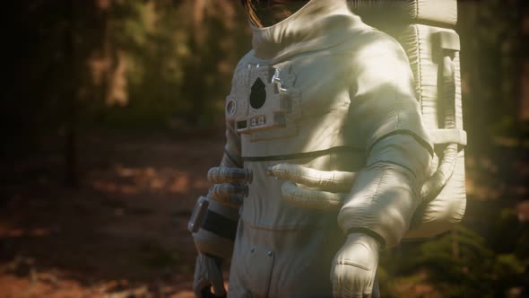 Lonely Astronaut in Dark Forest alt