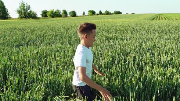 Happy boy is running through the wide field with green wheat at a sunny hot day.