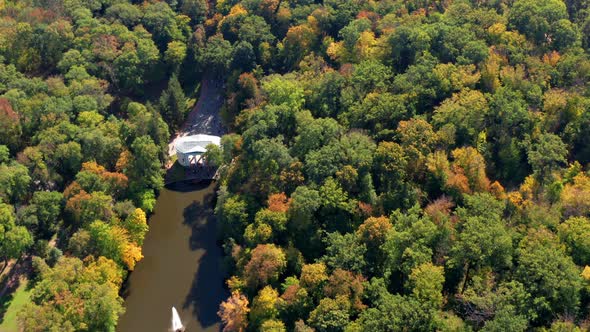 Beautiful flight above the trees. Autumn forest.