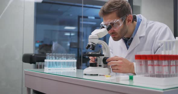 Scientist Working in Lab