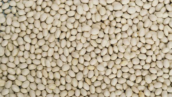 Closeup of Rotating Pile of White Beans