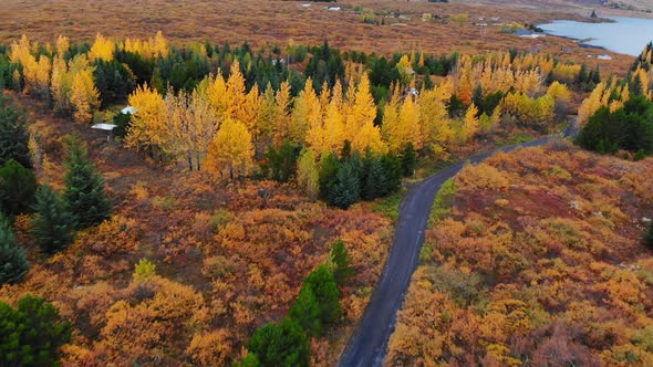 Aerial View of Colorful Autumn Landscape in National Park Thingvellir, Iceland