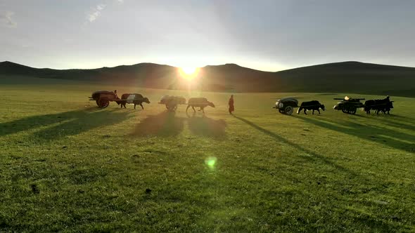 Central Asian Family People Walking Immigrating With Traditional Old Oxcart Tumbrel And Tumbril Cart