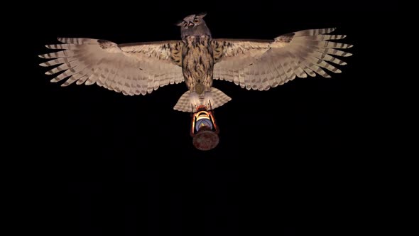 Horned Owl with Lantern Lamp - Flying Transition III alt