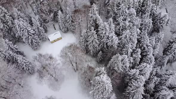 Aerial Forest view - Winter Landscape Aerial