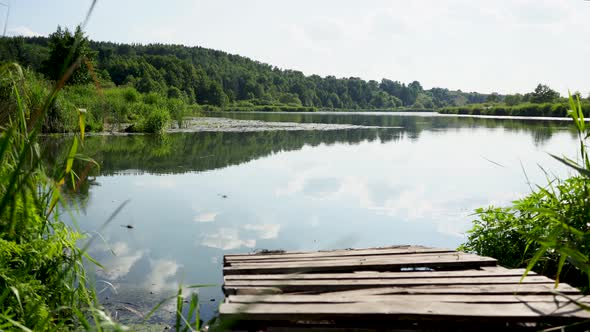 Lake on A Clear Summer Day Against the Forest, with A Pier in The Foreground