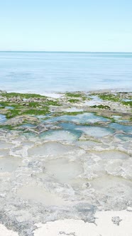 Vertical Video of Low Tide in the Ocean Near the Coast of Zanzibar Tanzania