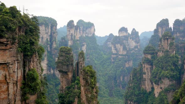 Zhangjiajie Mountains With Stone Pillars Rock Formations Covered Tropical Forest