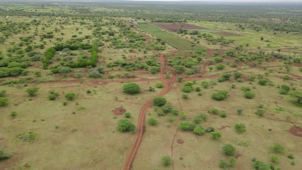 Serene aerial panorama of African savanna in Southern Kenya
