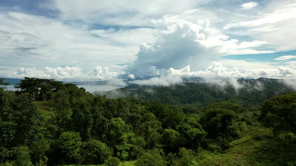 Amazing view of the jungle beach