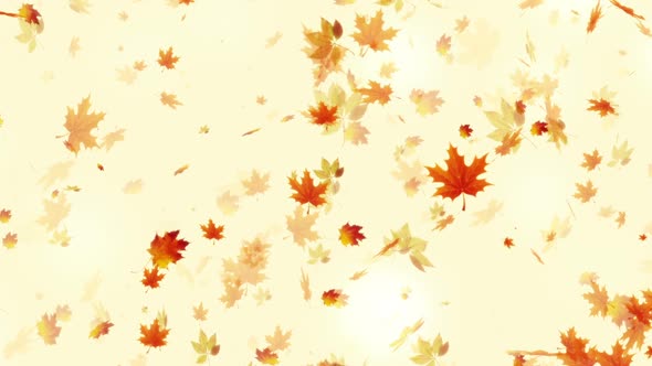 Autumn Leaves Hd