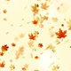 Autumn Leaves Hd - VideoHive Item for Sale