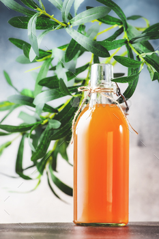 Fermented Raw Kombucha Drink Bottle. Gray Table Background With Copy Space / Photodune, Misc