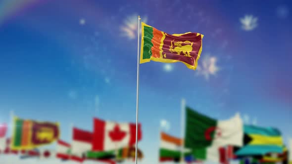 Sri Lanka Flag With World Globe Flags And Fireworks 