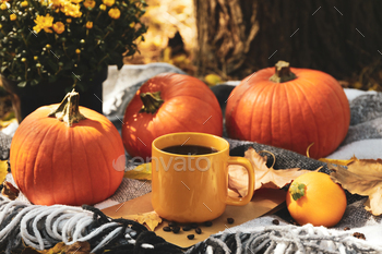 Cozy autumn concept with pumpkins and cup of coffee outdoor / Photodune, Misc