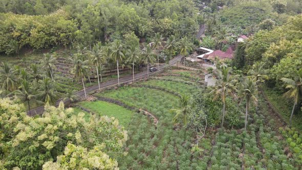 Aerial view of a car riding on the small road through village on the countryside in Indonesia