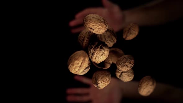 Person Throws Delicious Brown Walnuts Up and Catches Macro
