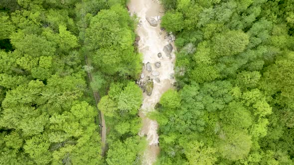 Flight over a mountain river in the forest