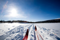 Cross Country Skiing - PhotoDune Item for Sale