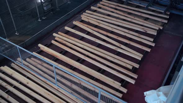 Wood On The Conveyor At The MDF Factory