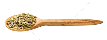 wooden spoon with fennel seeds isolated / Photodune, Misc