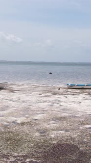 Vertical Video of Low Tide in the Ocean Near the Coast of Zanzibar Tanzania