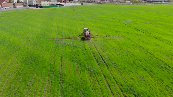 Tractor Is Spraying Pesticides on Grain Field.