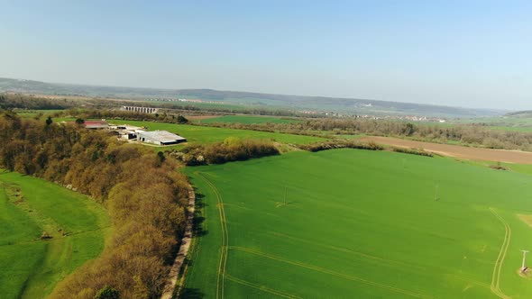 Top view of the wide green Farmfield