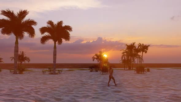 The Paradise Beach Sunset