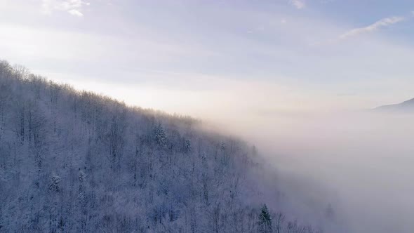 Aerial view of forest covered in snow and a big cloud of fog during day