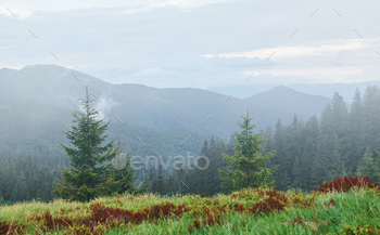 Fog all over the place. Majestic Carpathian Mountains. Beautiful landscape of untouched nature / Photodune, Misc