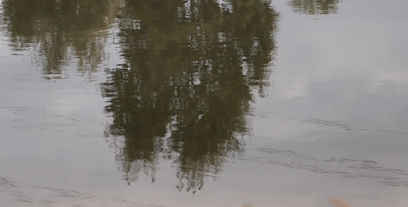 Reflection On The Water 1