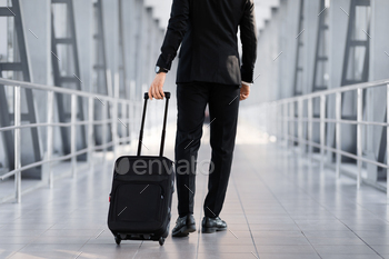 Cropped of businessman walking by airport with suitcase, back view / Photodune, Misc