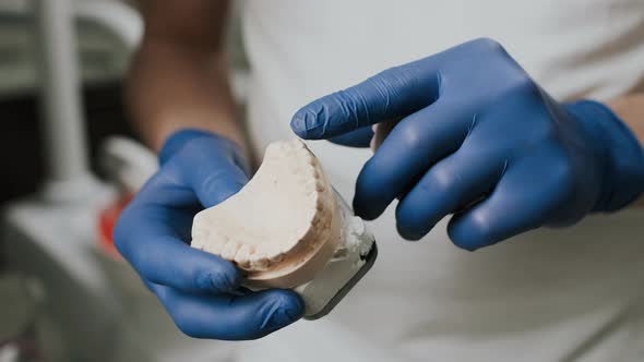 Manufacture Of Dentures.