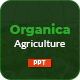Organica - Fresh Agricultural and Vegetables Farm Presentation - GraphicRiver Item for Sale