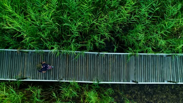 Tourist Woman In The Reeds