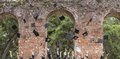Mortarboard hats fly from outstretched hands after an outdoor graduation. - PhotoDune Item for Sale