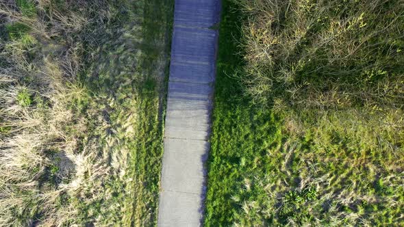 Aerial View Of A Footpath In The Woods