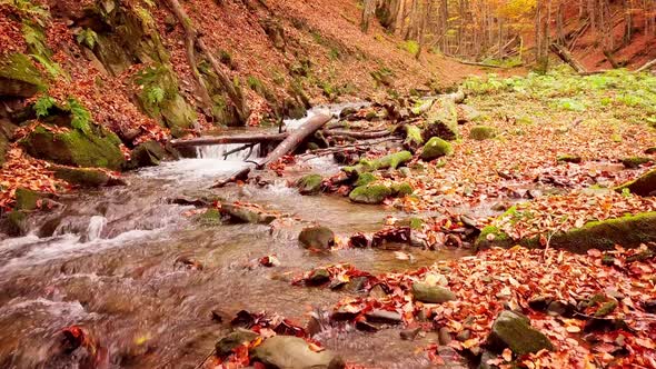 Footage of Wonderful Mountain Stream in the Shypit Karpat National Park