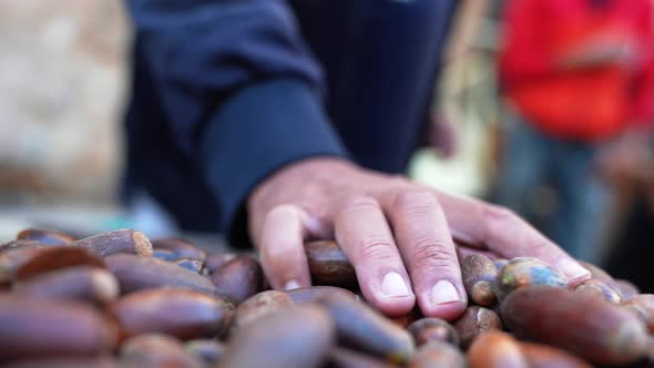 Close Up of Heap of Argan Nuts and Seeds for Sale at Marketplace