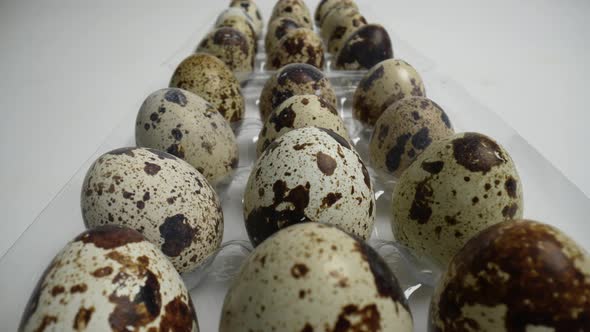 Quail Eggs45