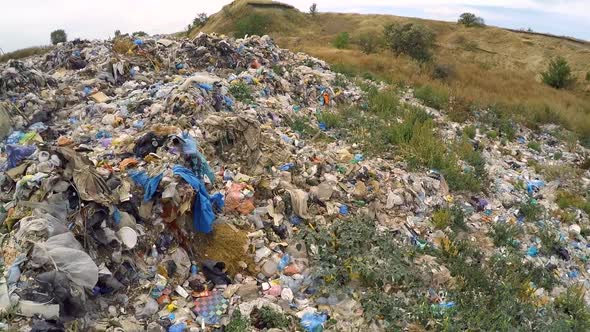 Garbage on Unauthorized Landfill Overgrown with Weeds