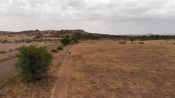 Drone Fly Over Mountain Biker Approaching on a Cloudy Overcast Day