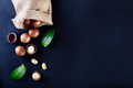 Australian macadamia nut with green leaves - PhotoDune Item for Sale