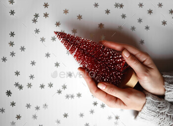 beautiful female hands holding a small red christmas tree on a gray background. View from above / Photodune, Misc