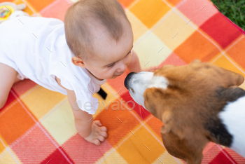 ビーグル犬と一緒に屋外で毛布を着た幼児の女の子 / Photodune, Misc